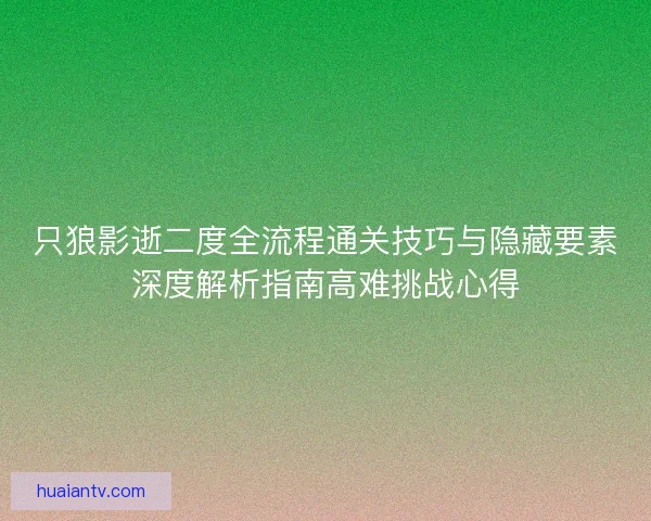 只狼影逝二度全流程通关技巧与隐藏要素深度解析指南高难挑战心得